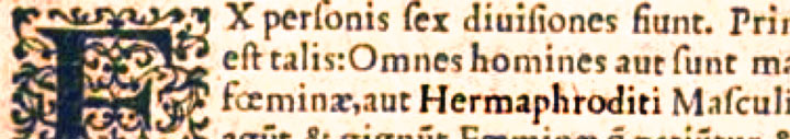 All humans are male, female, or hermaphrodite. - Summa artis notariae Do. Rolandini Rodulphini, Lyon 1559