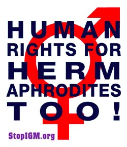 Human Rights For Hermaphrodites Too!